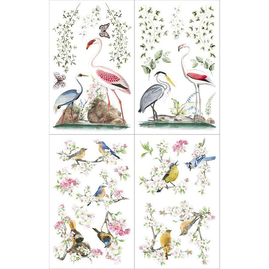 Hokus Pokus Large Transfers - Birds of Paradise