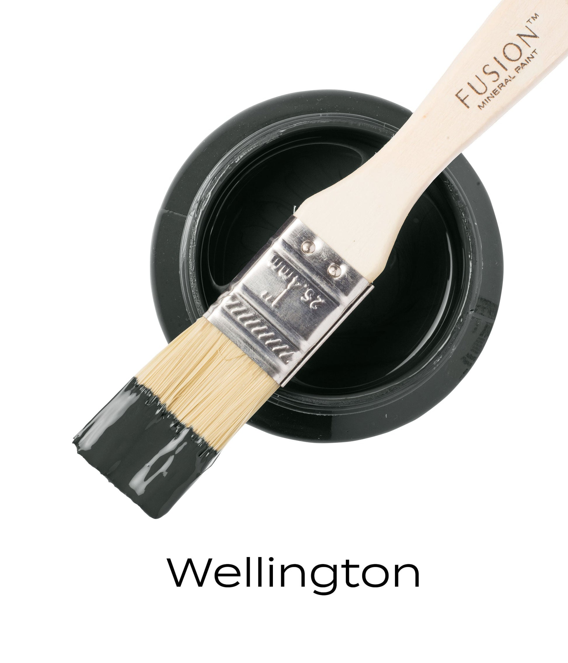 Fusion Mineral Paint - Wellington